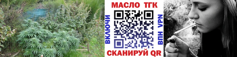 цены наркотик  Богданович  ТГК THC oil 