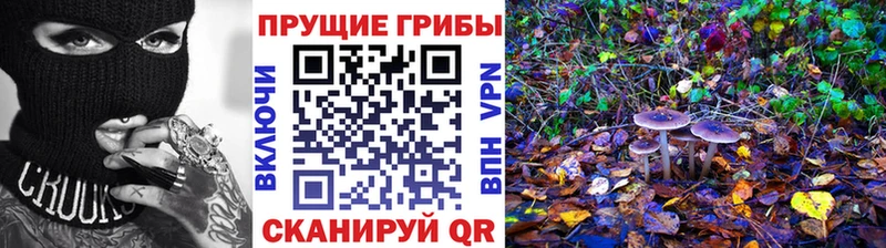 где купить наркоту  Богданович  omg рабочий сайт  Галлюциногенные грибы прущие грибы 